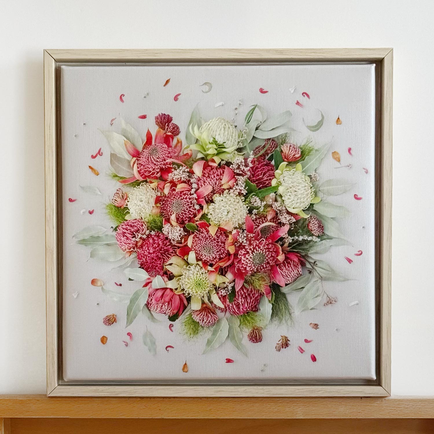 Waratahs | Canvas 33 x 33 cm