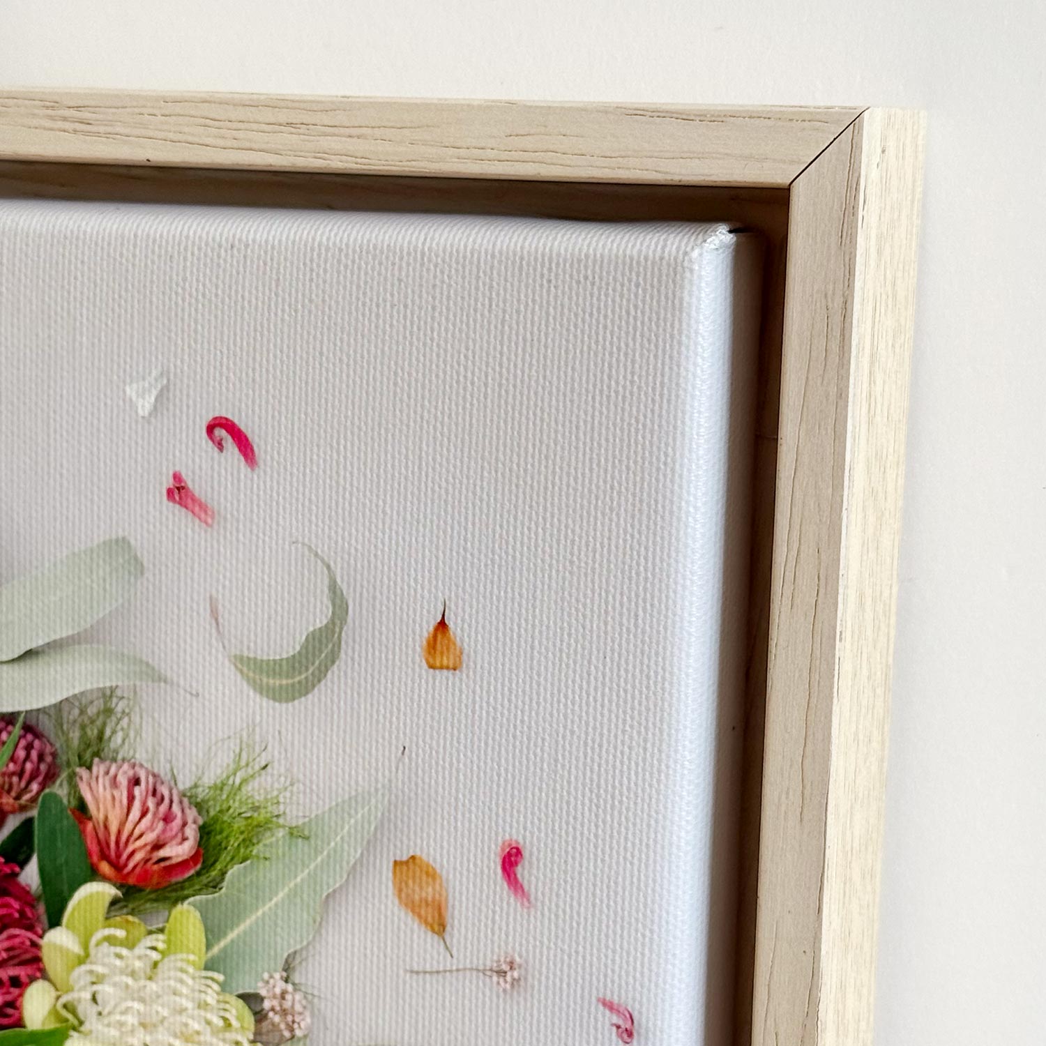 Waratahs | Canvas 33 x 33 cm