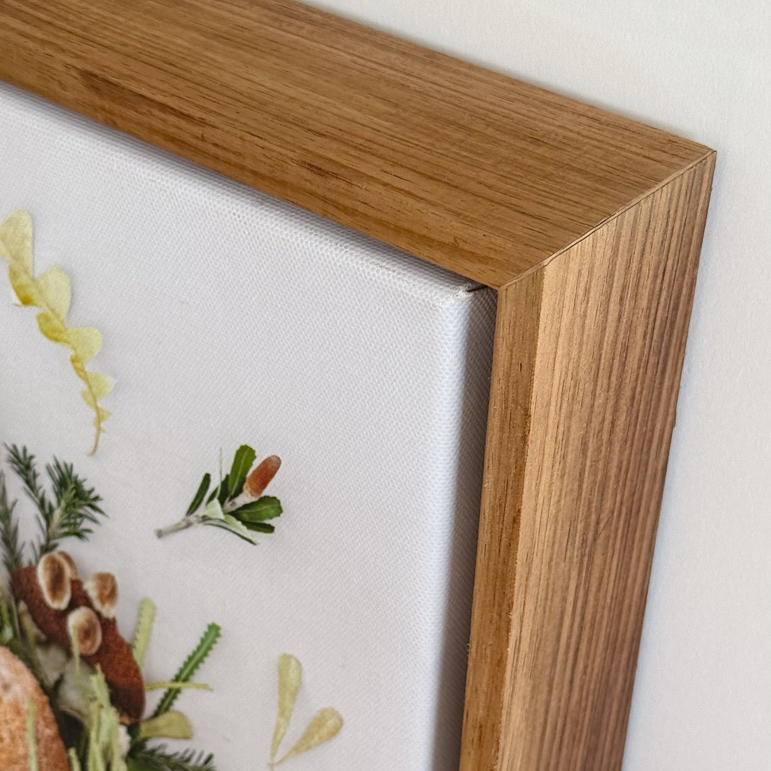 Banksias Mix Pano #5 of 25 | Canvas 85 x 34 cm