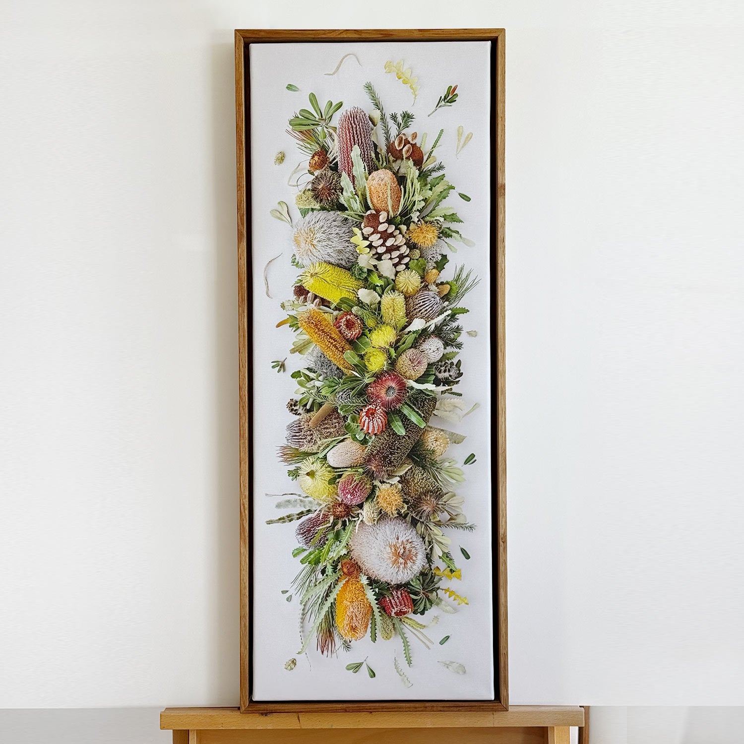 Banksias Mix Pano #5 of 25 | Canvas 85 x 34 cm