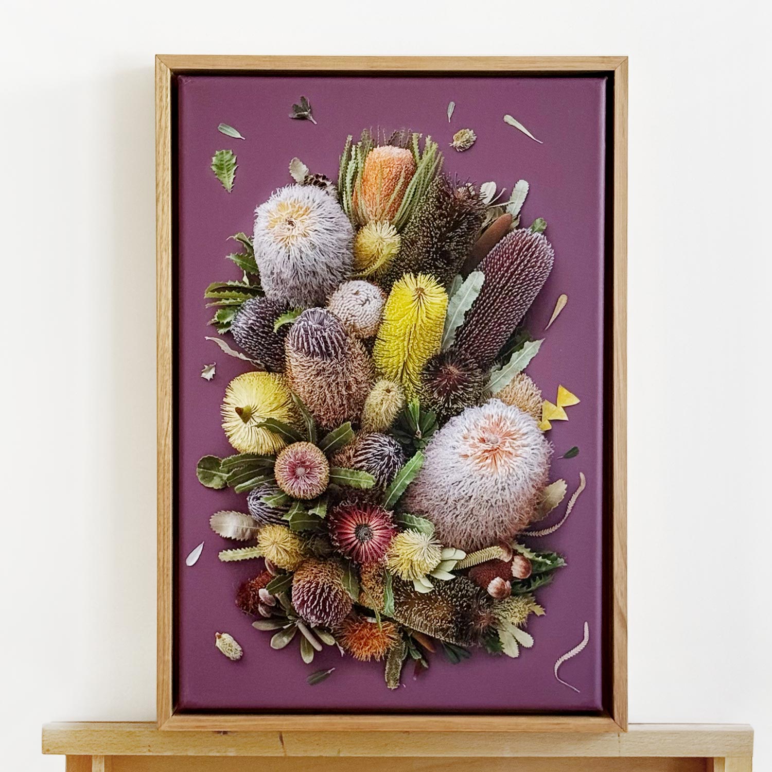Banksias on Purple | A3 in TassieOak