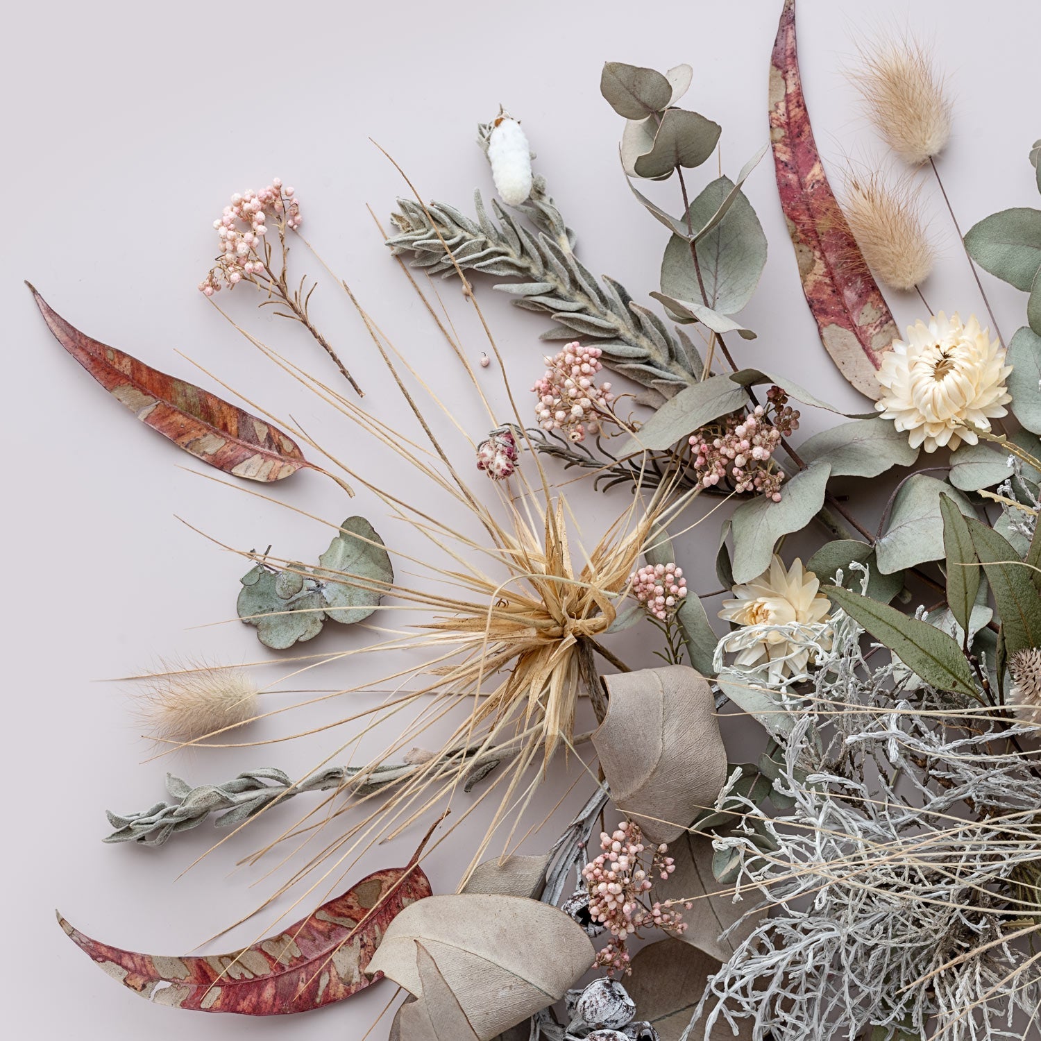 Coastal Mix - Extra Small