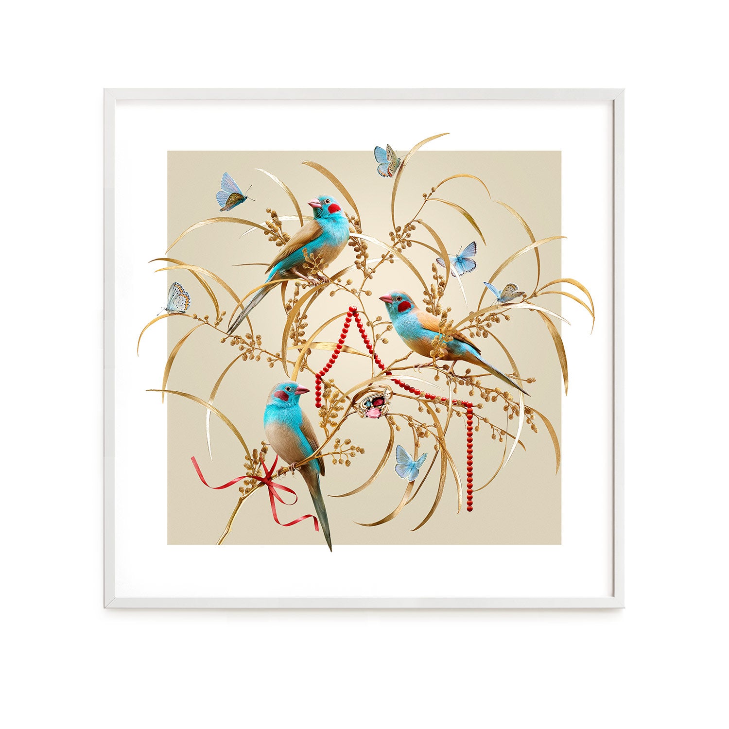 Cordon Bleu Finches on Gold #10 of 25 | 42x42cm White Frame