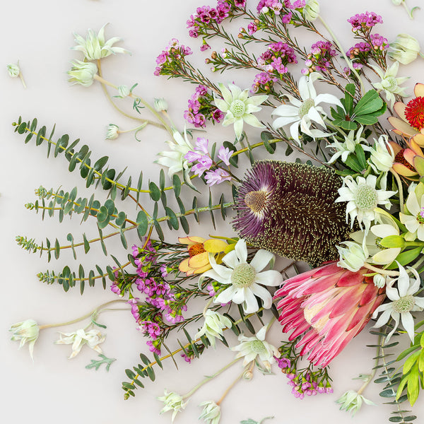 Country Mix Pano #5 of 25 | Medium White Frame - Eclectic Botanica
