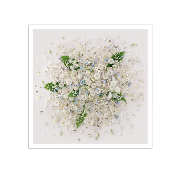 Dandelion Spring Mix - Square - Irina Mitin • Eclectic Botanica