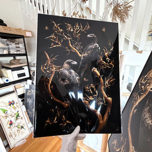Wedge-tailed Eagles | A2 size