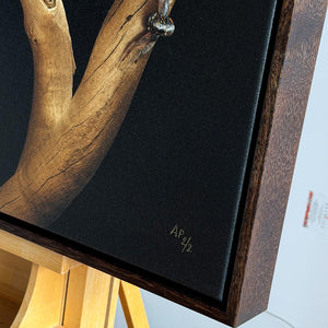 Wedge-tailed Eagles on an Old Gum Tree | Final Artist Proof