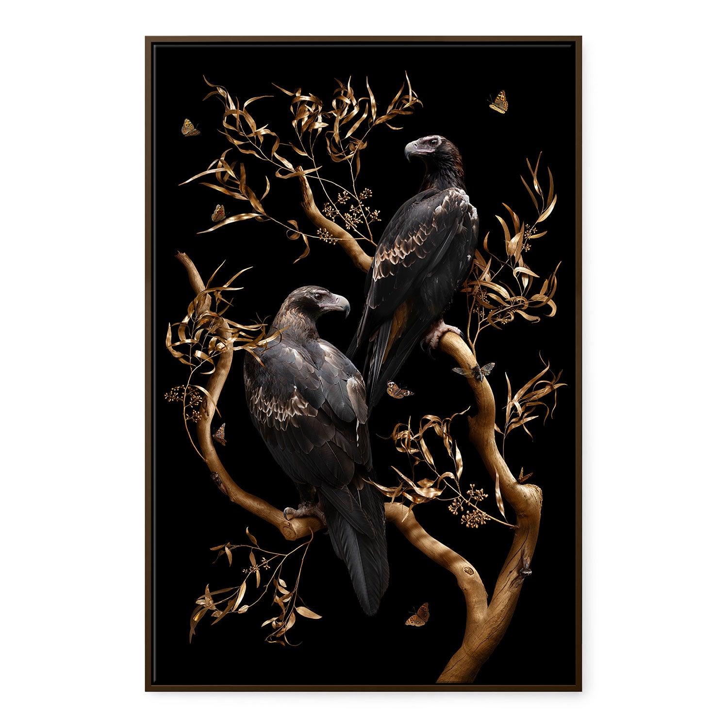 Wedge-tailed Eagles on an Old Gum Tree | Artist Copy