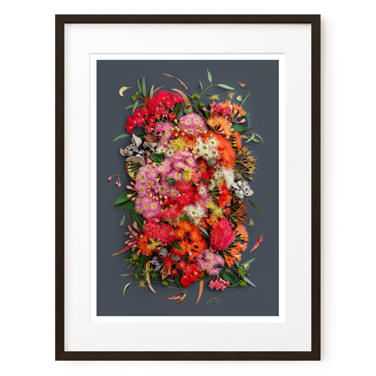 Eucalyptus Symphony Dark #5 of 25