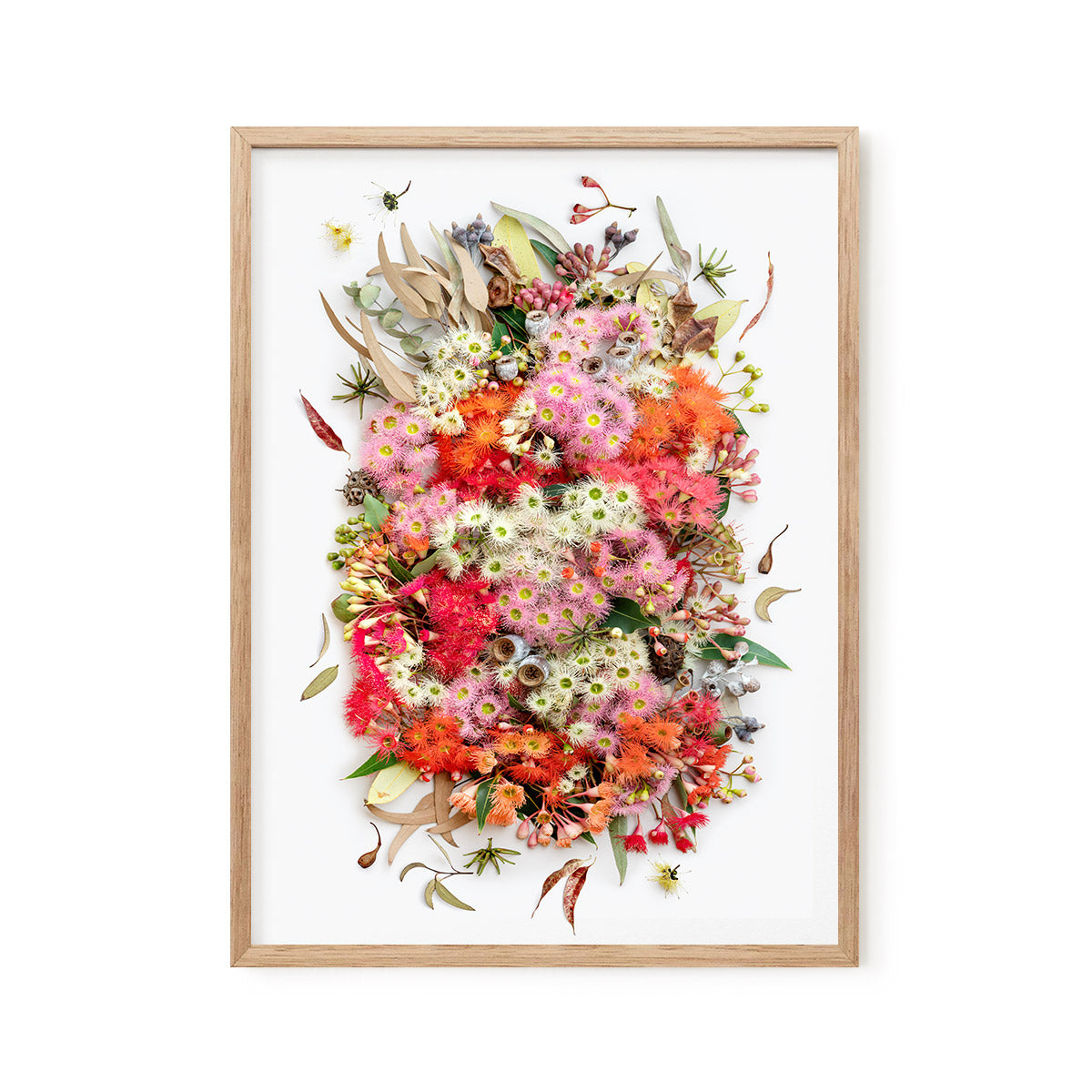 Eucalyptus Symphony  | A2 White/Blackwood Frame