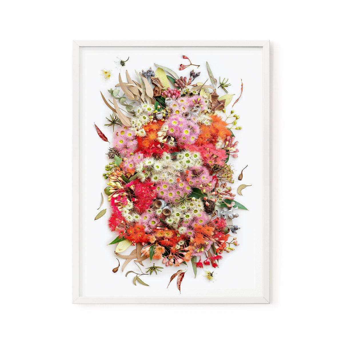 Eucalyptus Symphony Small | #21 of 25