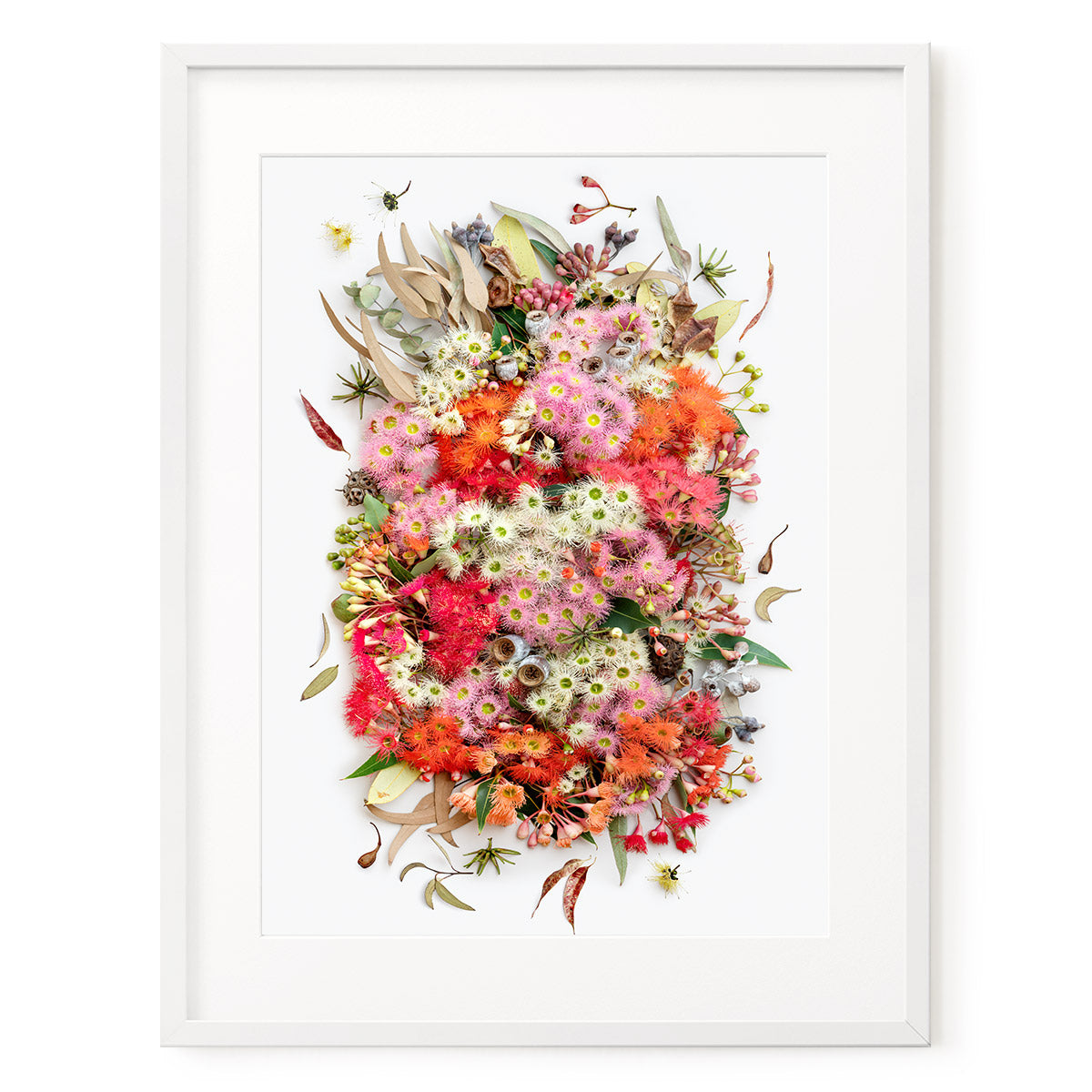 Eucalyptus Symphony Light #15 of 25