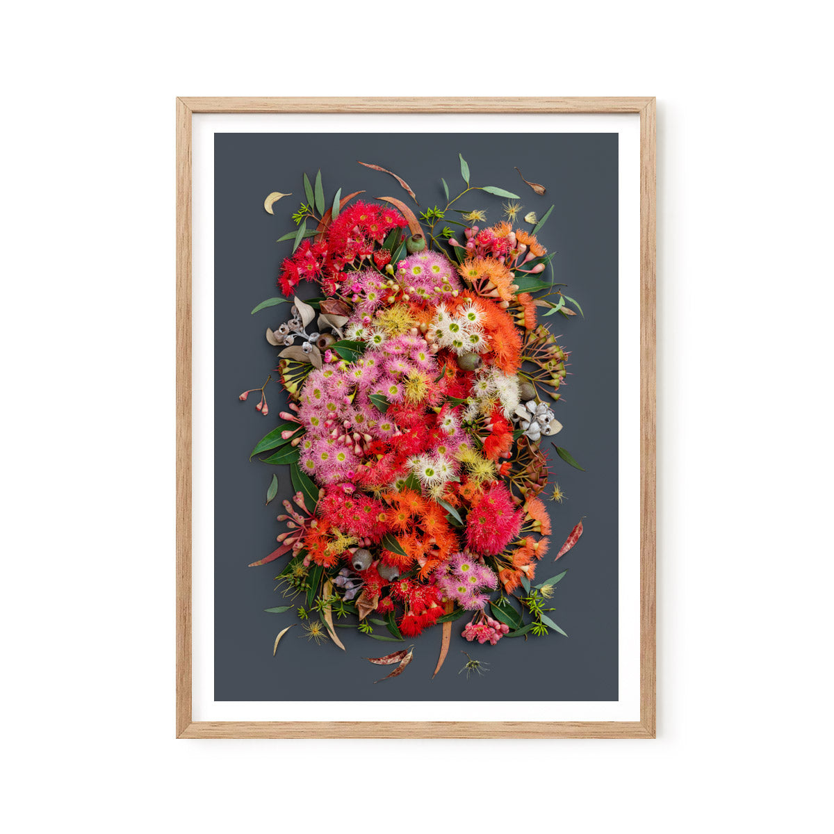 Eucalyptus Symphony Dark | A2 in Tassie Oak / White