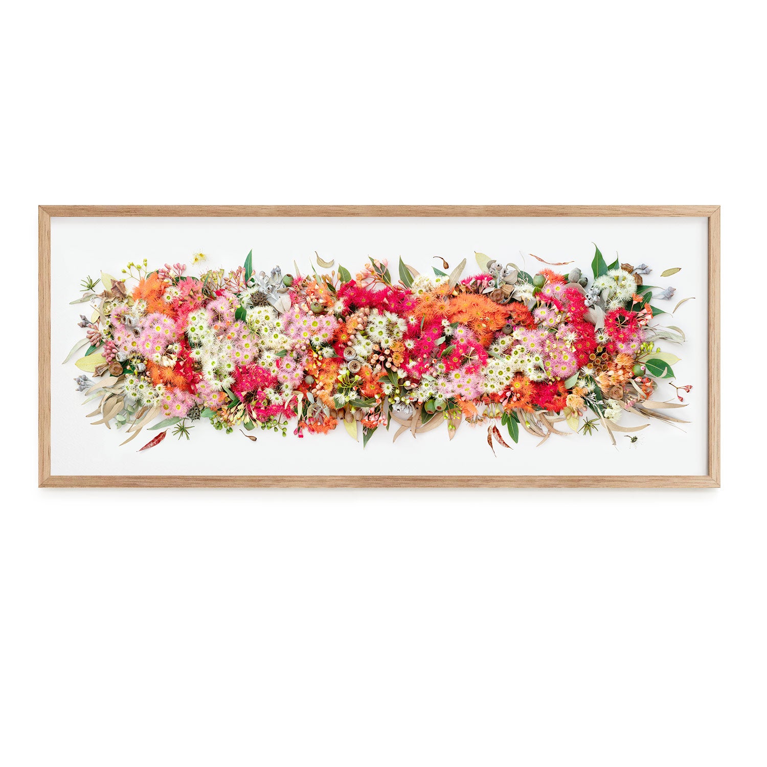 Eucalyptus Symphony #5 of 25  | 115 x 42 cm Tassie Oak Frame