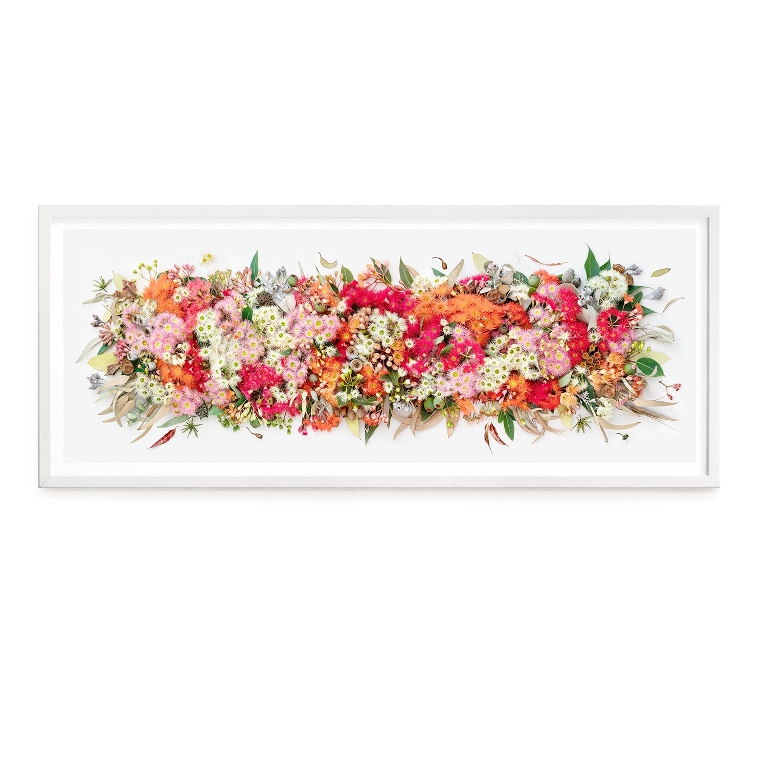 Eucalyptus Symphony #23 of 25 | Medium White Frame
