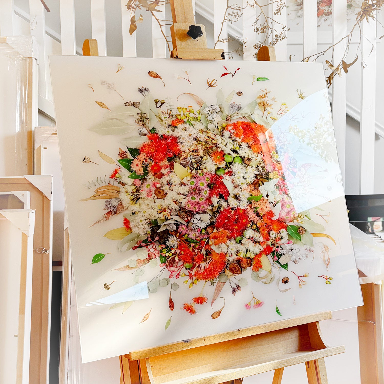 Eucalyptus on White - High-end Acrylic face mounting