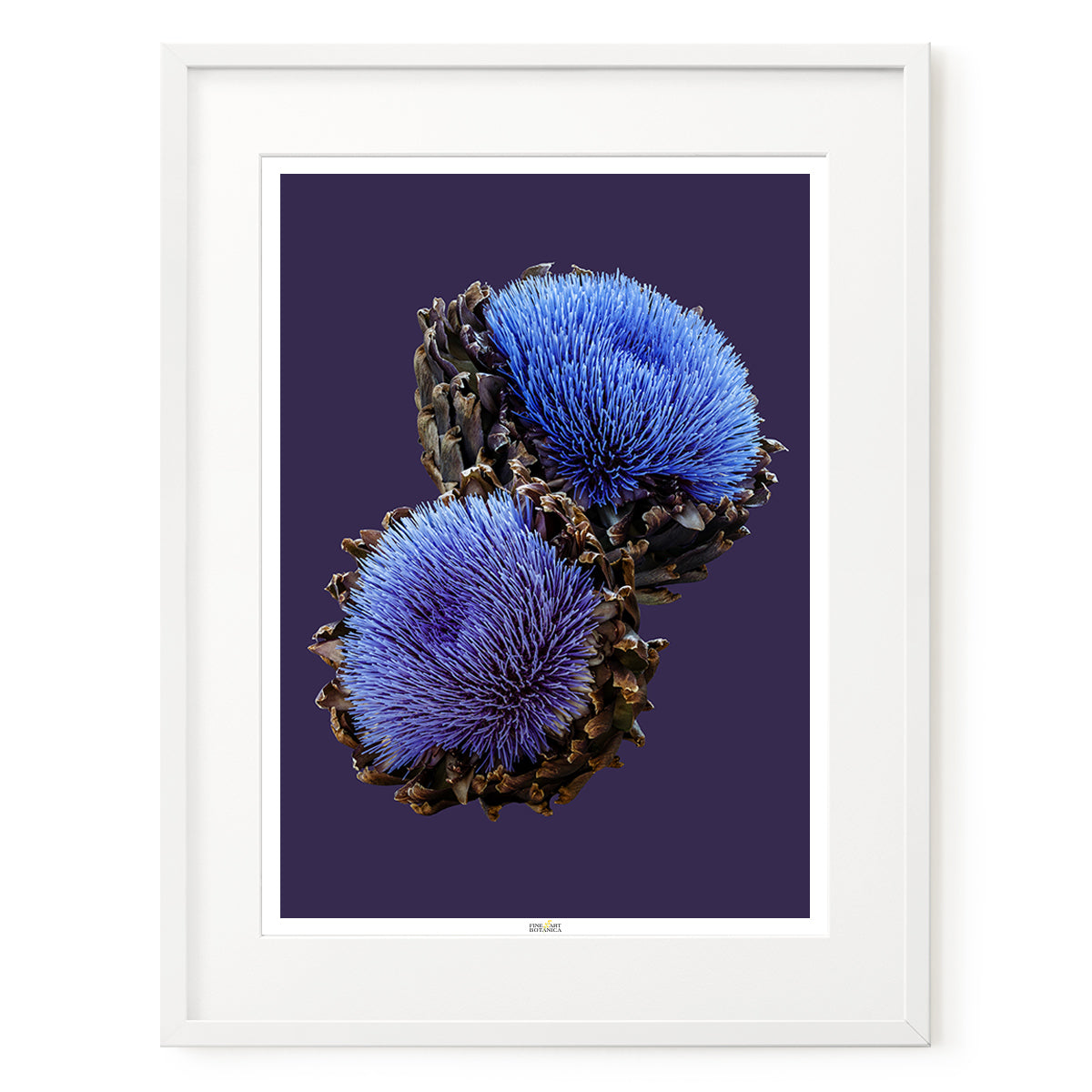 French Artichoke | #21 of 25