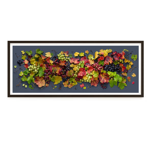 Grapevine Mix on Dark | Panorama