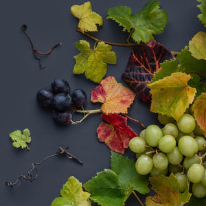 Grapevine Mix on Dark | Panorama
