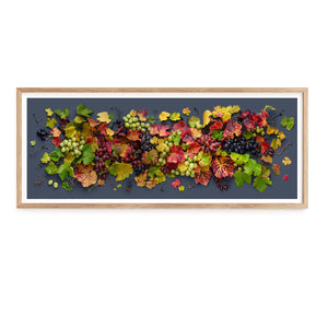 Grapevine Mix on Dark | Panorama