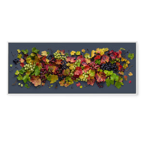 Grapevine Mix on Dark | Panorama