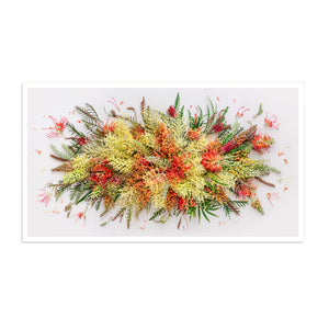 Grevilleas On White