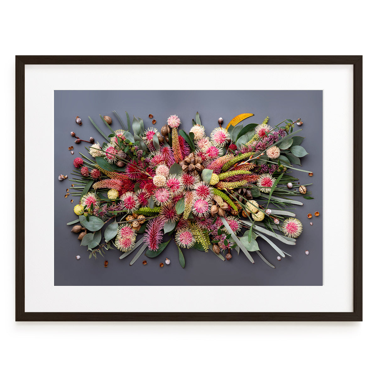 Hakeas On Dark #8 of 25