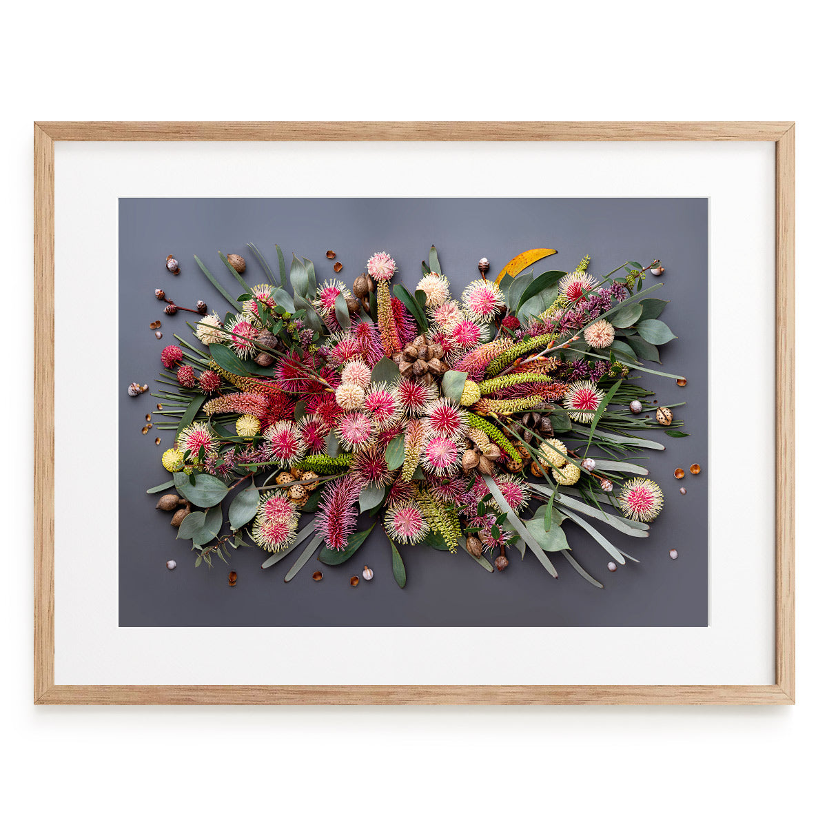 Hakeas On Dark #7 of 25