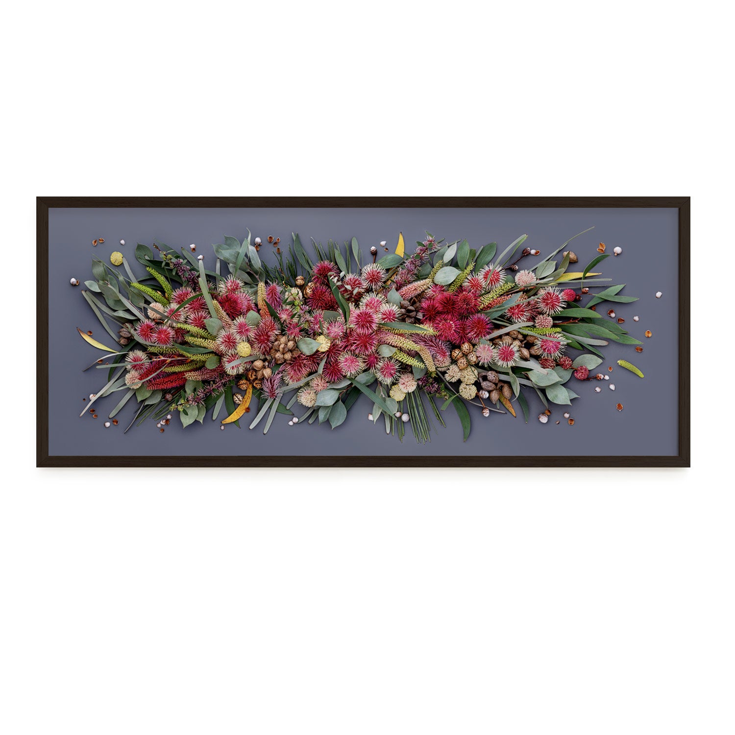 Hakeas On Dark #11 of 25 | 83 x 33 cm in Black