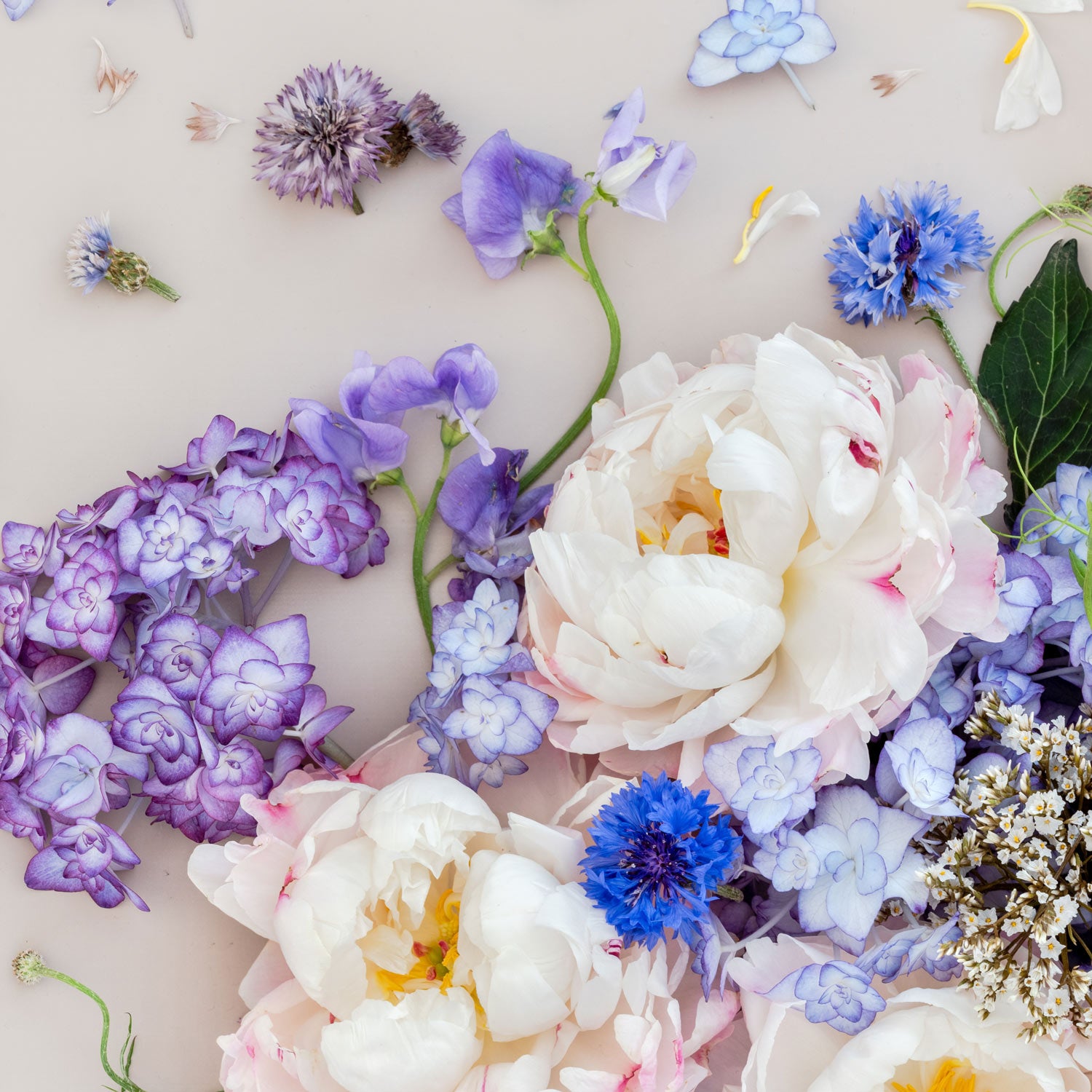 Hydrangeas and Peonies Mix