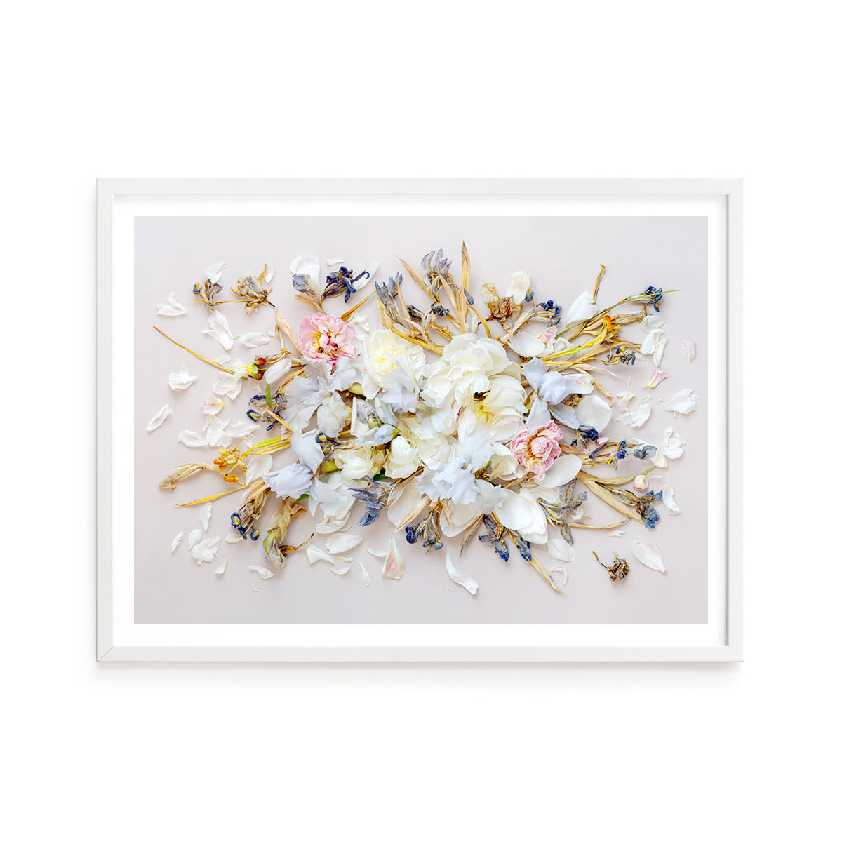 Irises On Beige #5 of 25 | A2 White Frame