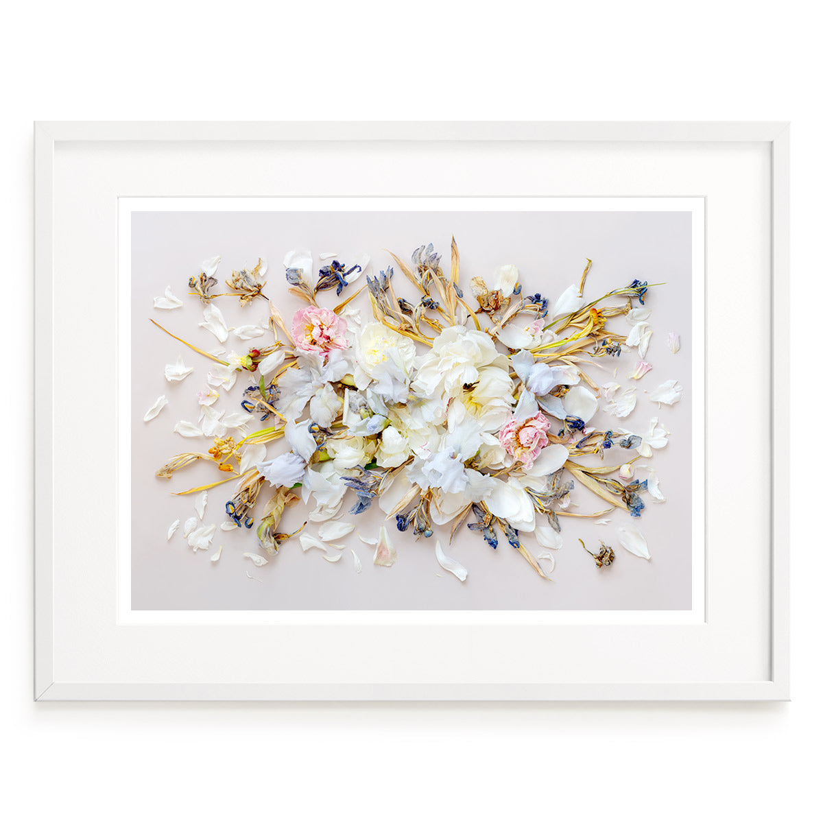 Irises On Beige #10 of 25