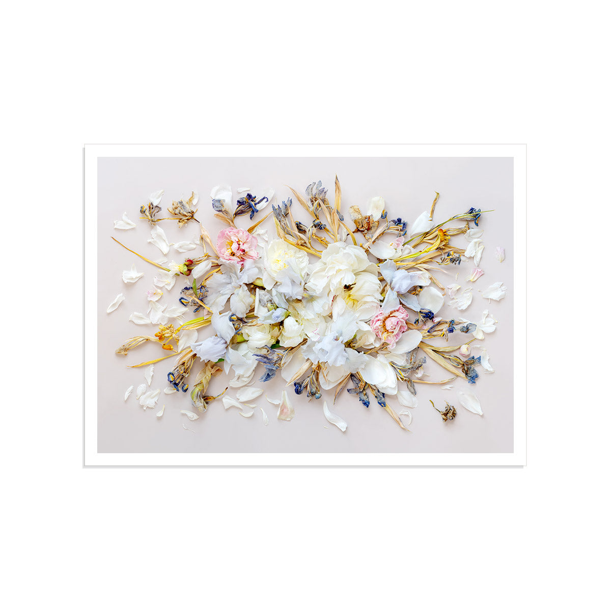 Irises On Beige #17 of 25 | A0 White Frame