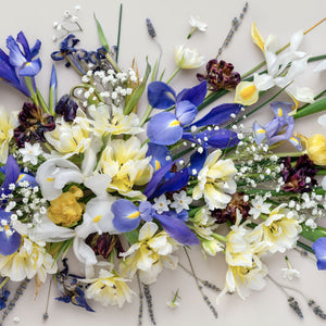 Irises and Tulips Pano