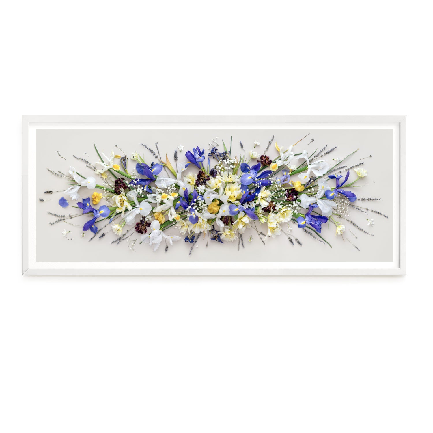 Irises and Tulips Pano #3 of 25 | 81 x 32 cm Tassie Oak