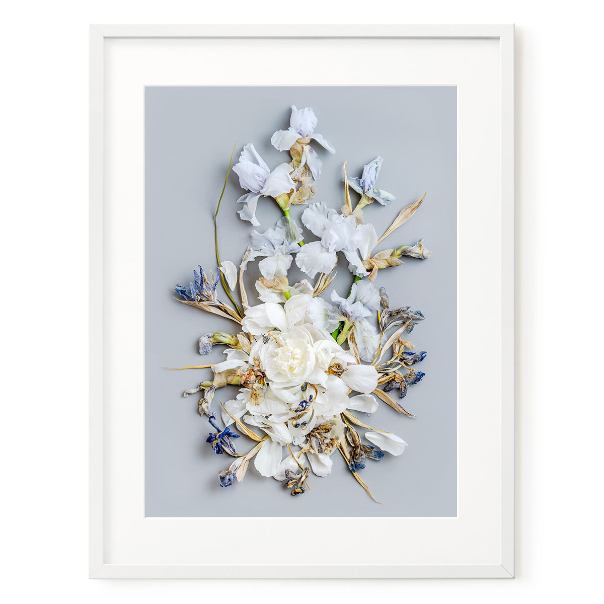 Irises #3 of 25 | 75 x 99 cm Framed with Mat