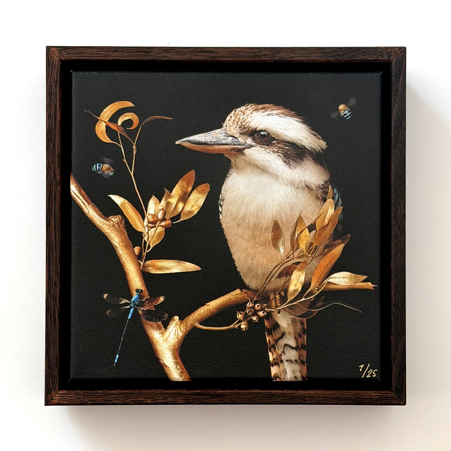 Kookaburra in Eucalypt | Canvas 20x20cm
