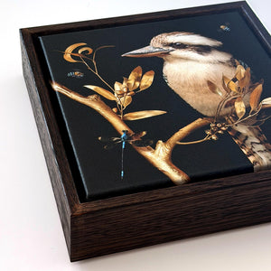 Kookaburra in Eucalypt | Canvas 20x20cm