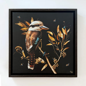 Kookaburra in Eucalypt | Canvas 30x30cm