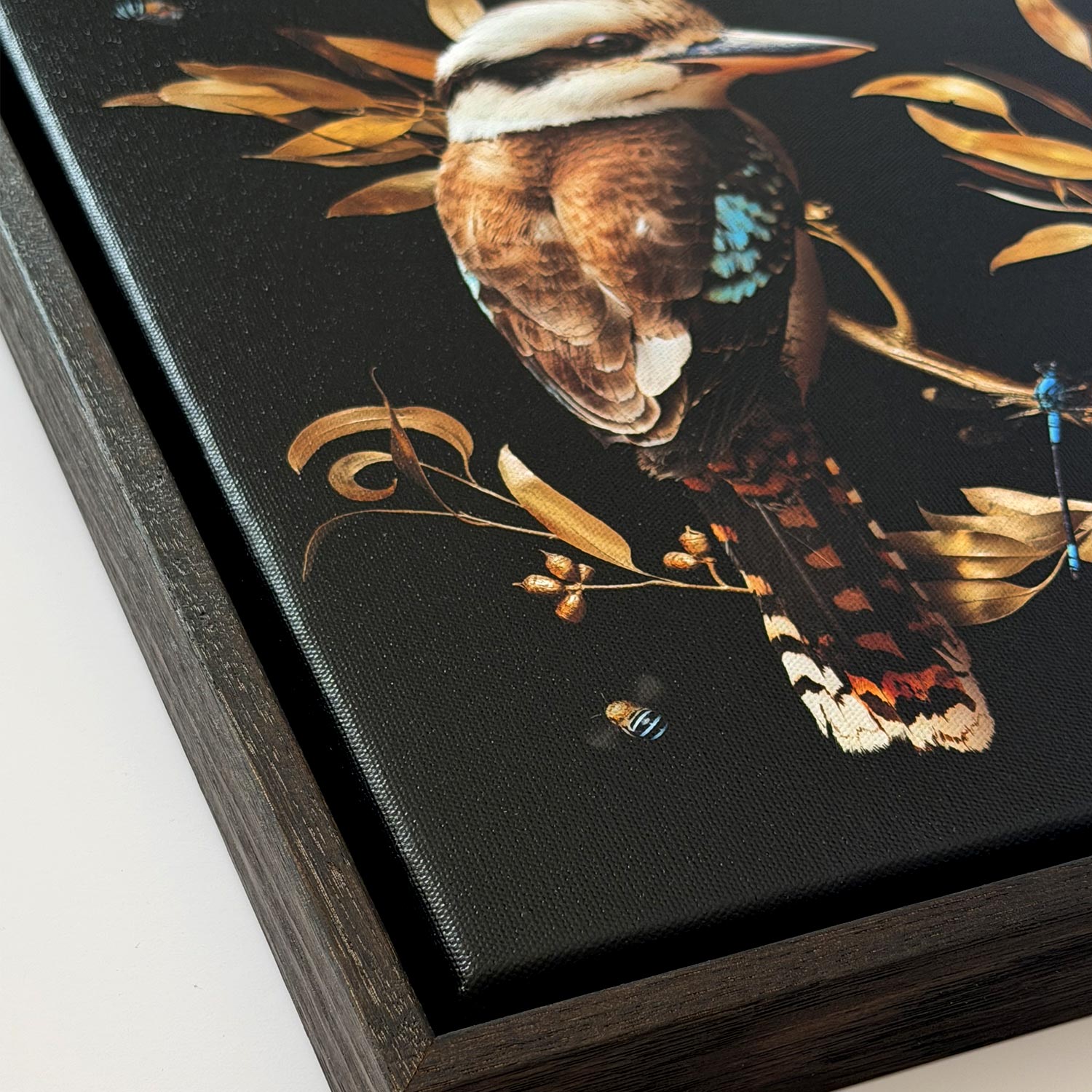 Kookaburra in Eucalypt | Canvas 30x30cm