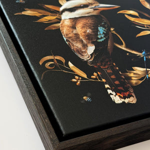 Kookaburra in Eucalypt | Canvas 30x30cm