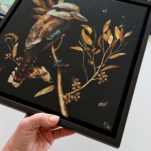 Kookaburra in Eucalypt | Canvas 30x30cm
