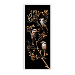 Kookaburras in Eucalypts