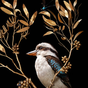 Kookaburras in Eucalypts
