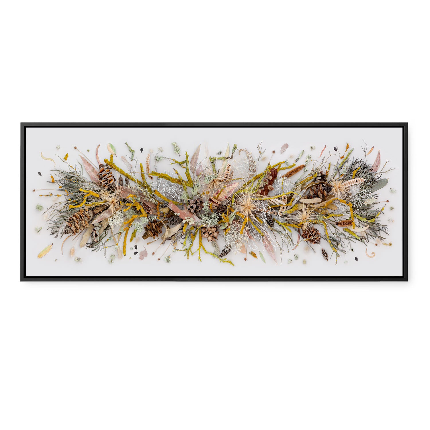 Lichen and Moss | Panorama