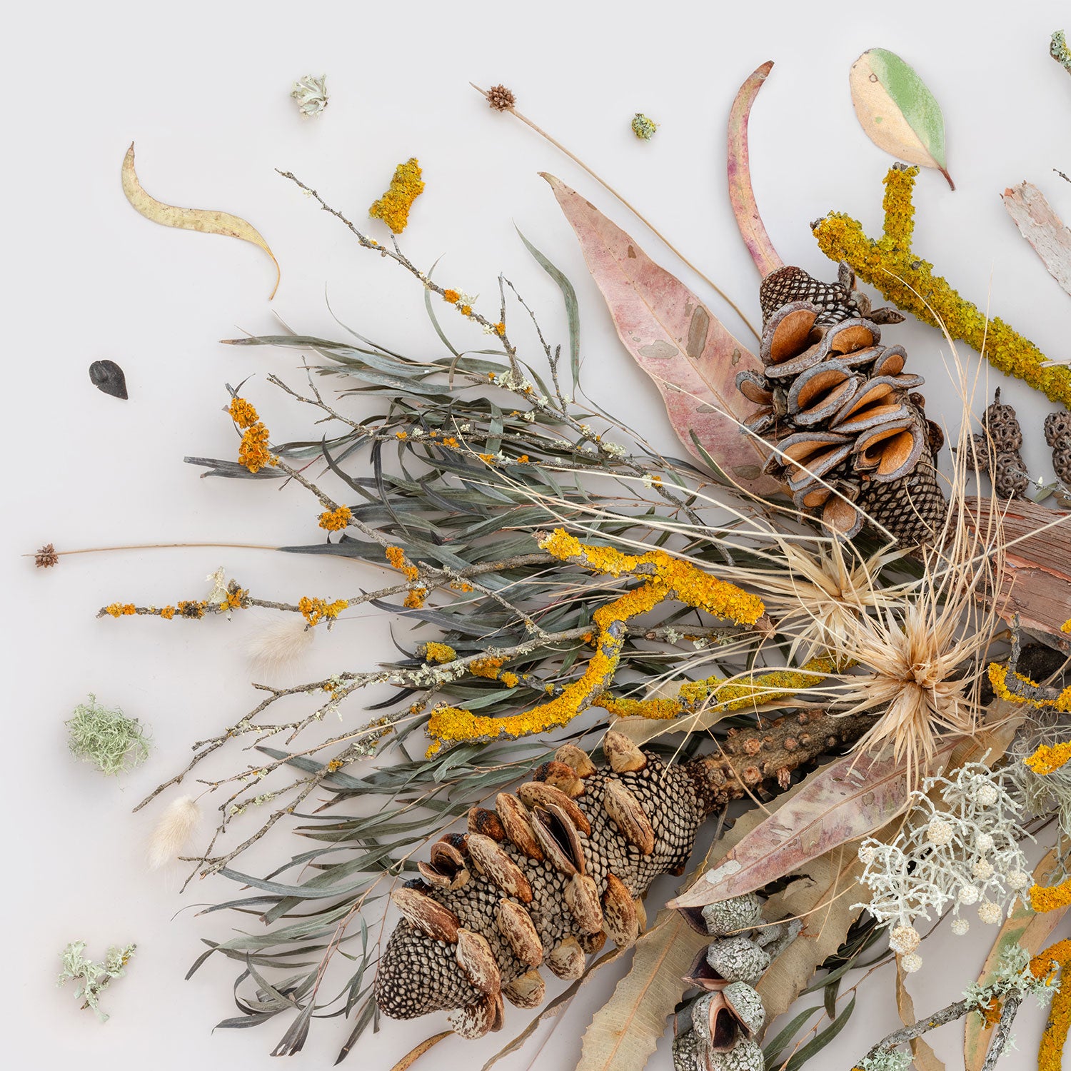 Lichen and Moss | 115 x 42 cm  Tassie Oak Frame