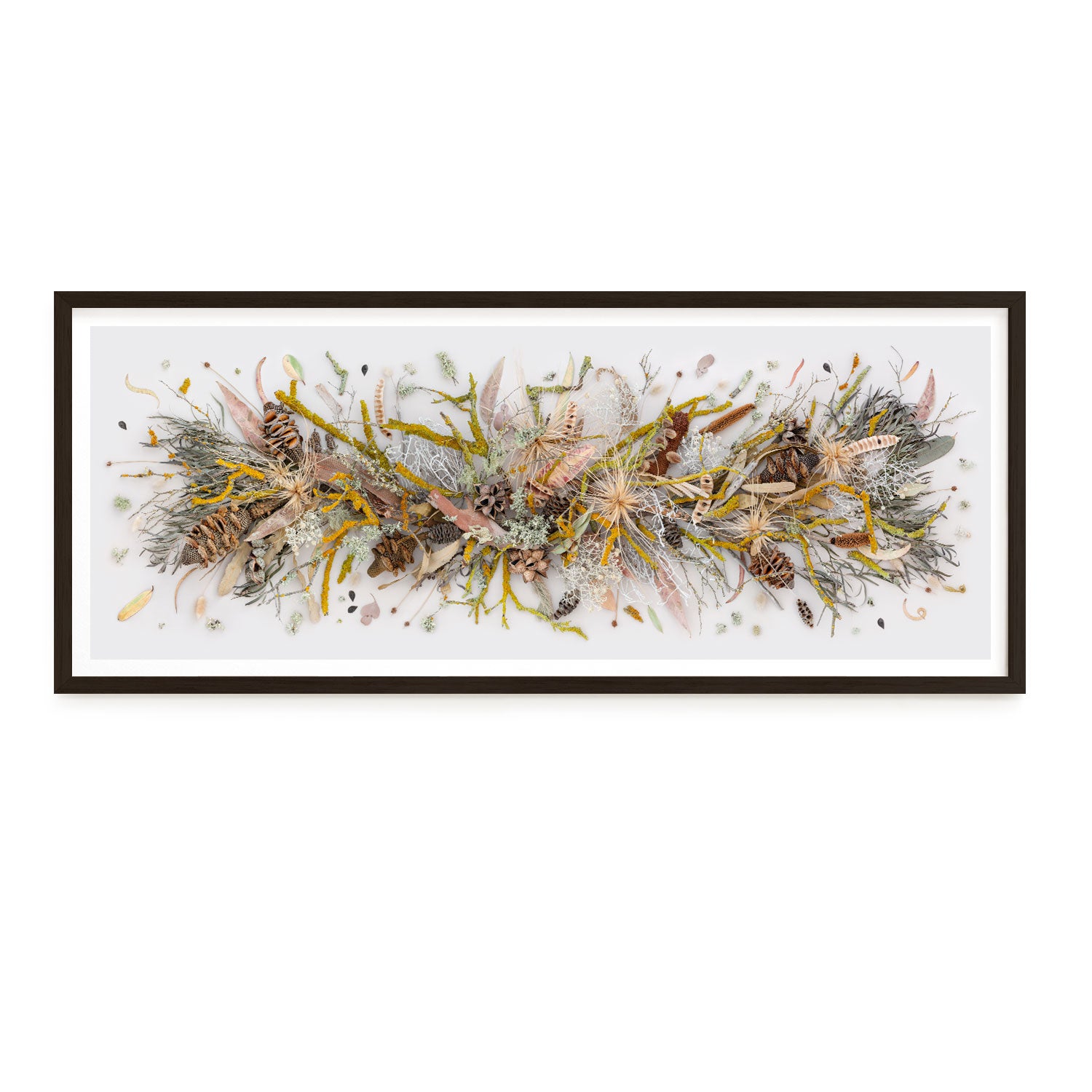 Lichen and Moss | Panorama