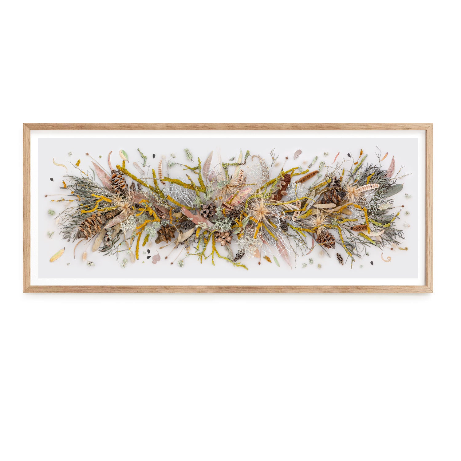 Lichen and Moss | Panorama
