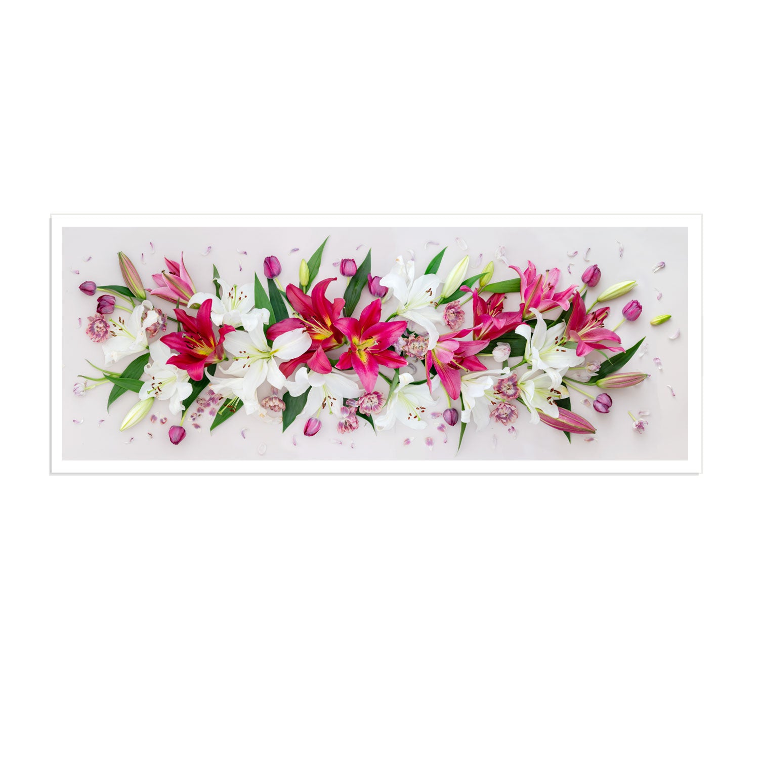 Lilies and Tulips | Panorama