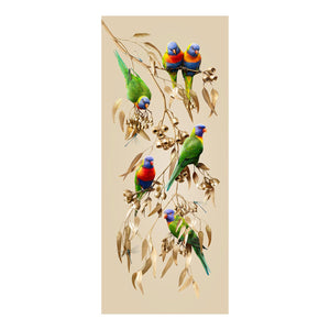 Lorikeets in Silver Princess Gum